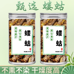 蝼蛄中药材500g新货野生蝲蝲蛄干拉拉蛄地拉蛄天蝼土狗子虫蝼蛄粉