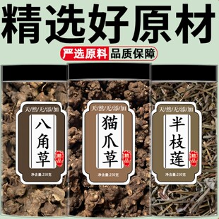 猫爪草八角莲半枝莲中药材组合养生滋补原材料正品组合泡茶煮水喝