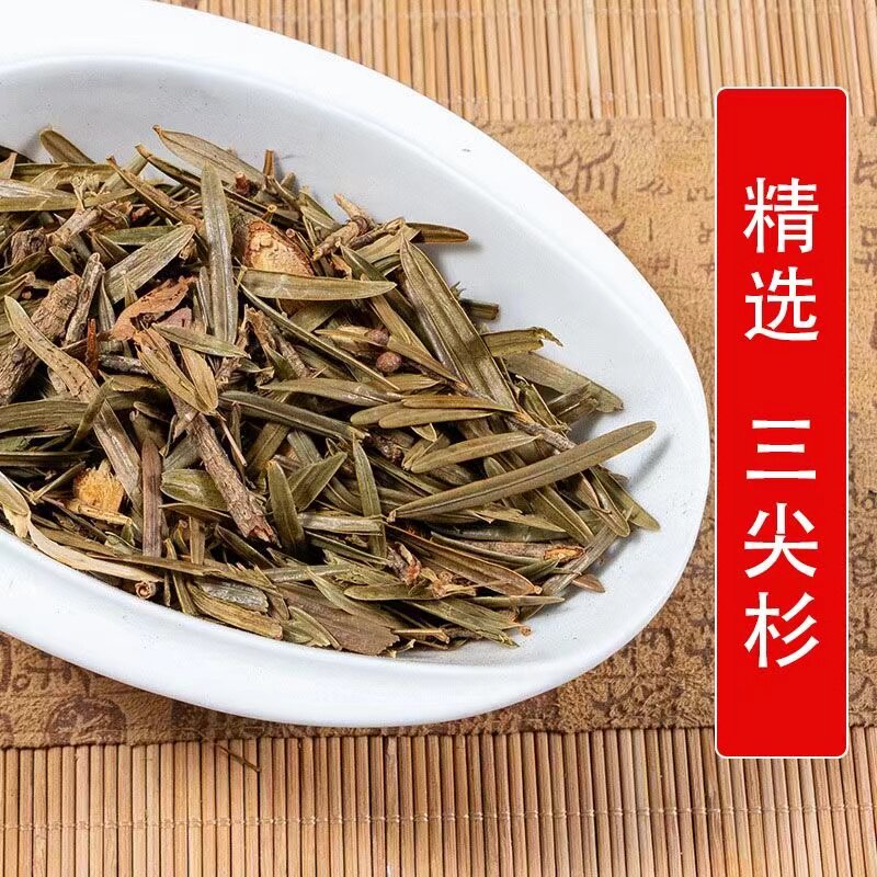 三尖杉中药材 当季天然纯新货 血榧 石榧 水柏子 藏杉桃松 狗尾松