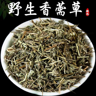 野生香薷泡水中草药新货香需香儒香薷中药材香薷草另售佩兰
