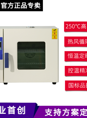 鼓风工业烤箱实验室小型烘箱电热高温恒温干燥箱热风循环老化试验