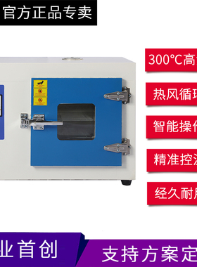 电热工业鼓风恒温干燥箱小型工业老化实验室试验300度高温烤箱