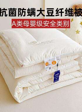 A类婴儿学加级NSA大豆纤维季被子厚冬被四可用生被芯双人春秋被棉