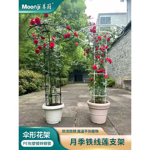 伞形花架月季爬藤架园支艺架阳台庭F77H667J花院户外玫瑰攀支爬撑