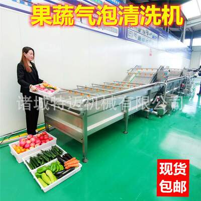 厂家生产雷公根气泡清洗机 商用马蹄草喷淋清洗机 细辛清洗设备