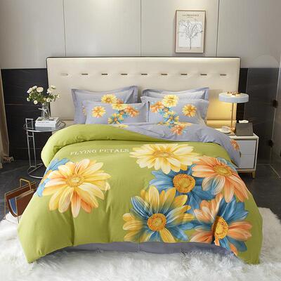 新品亲套肤斜纹棉全加厚磨毛四件床立体大版花双LRP人被套单纯棉