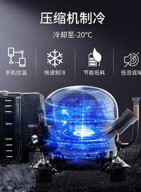 lpic冰ool虎65L压缩GCM机车载冰4箱1a2v2v冷冻冷藏小型房车游艇冰