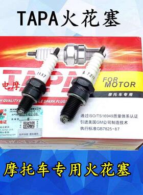 株洲湘火炬TAPA 1137 T2197 70/110/125/150摩托车火花塞火嘴火咀