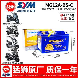 三阳巡弋300 TL500/TL508/FNX150/MAXSYM400i 600i九妹Z300电瓶