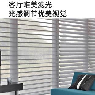 网红垂直梦幻帘柔纱帘办公简约现代百叶卷帘客厅办公室隔断遮光
