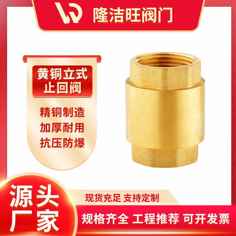 厂家直销黄铜立式止回阀内外丝弹簧止回阀逆止阀自来水向阀铜芯