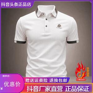 AUV服饰店夏新款男士polo衫时尚休闲透气男款短袖高端百搭版型男