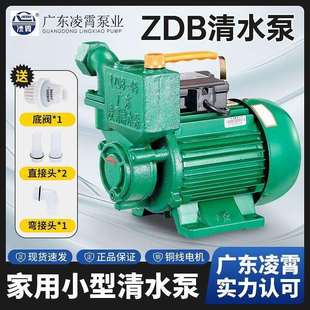 广东凌霄牌水泵1ZDB35/45/65型自吸清水泵家用自来水抽水机增压泵