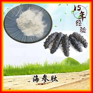 海参肽98%海参蛋白肽粉海参低聚肽肽酶切割小分子100g/袋