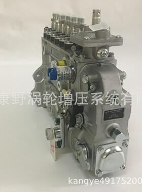 喷油泵1111000-013-JHG106A160和6A116和940036623615A-YFD10SE