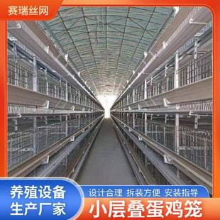 小层叠蛋鸡笼鸡场自动化现代化养殖设备智能环控自动检蛋机厂家