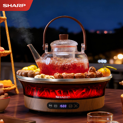 夏普围炉煮茶专用茶壶冬日新款
