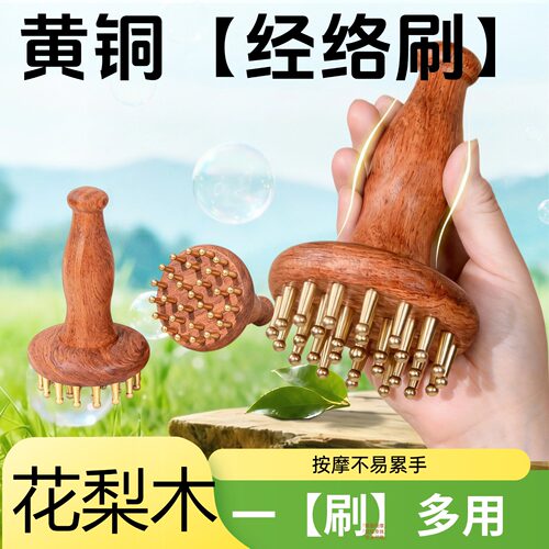 花梨木柄黄铜经络刷29齿全身用