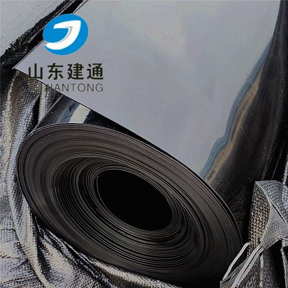 厂家供应护坡防渗布 长丝复合土工膜两布一膜 工程防渗土工膜