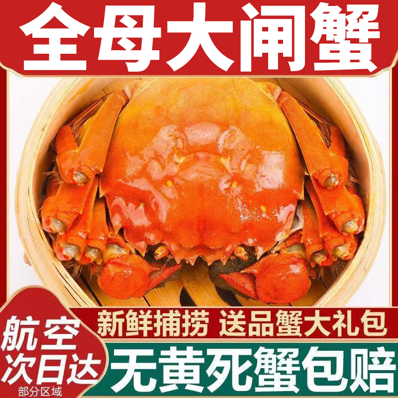 活蟹高淳固城湖大闸蟹鲜活特大全母螃蟹新鲜现货水产8只礼盒装