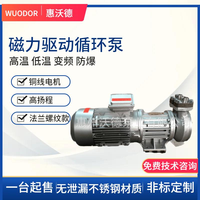 高温磁力驱动泵TOE-CY-6091.0159热水导热油循环泵化工泵