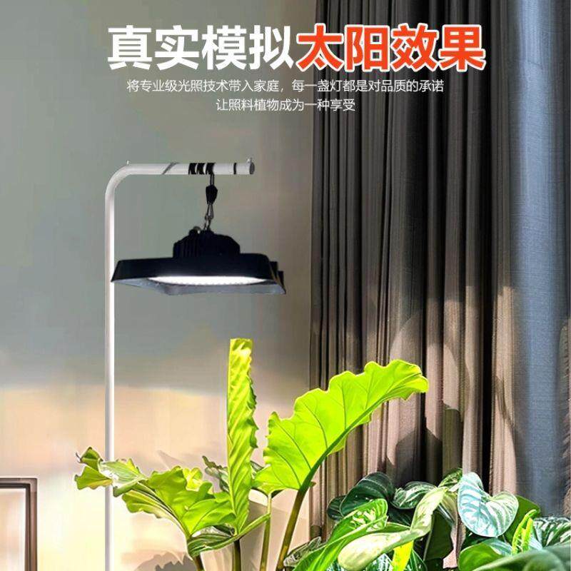 全光谱吊灯庭院灯家用防