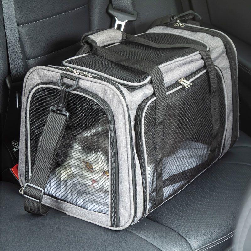 猫猫外出包便携狗背包宠