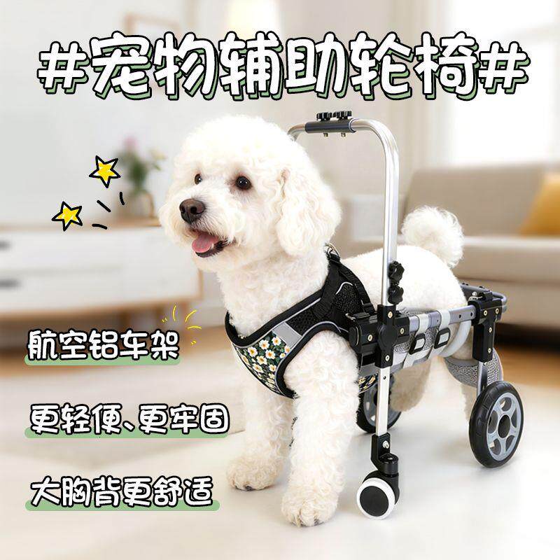 狗用轮椅代步车猫瘫痪动