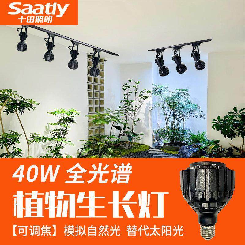 全光谱可调焦轨道式植物