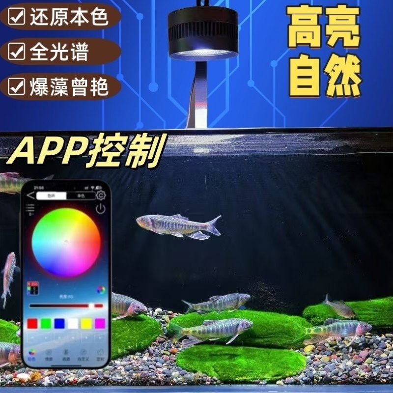 原生溪流缸灯鱼缸生态暴藻出苔LED灯全光谱筒灯射灯鱼缸观赏灯