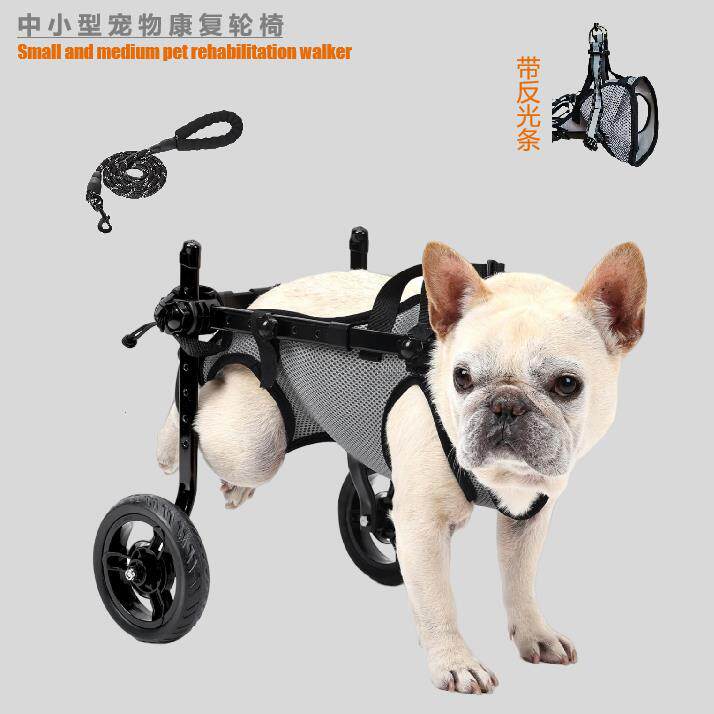 宠物轮椅车后肢瘫痪残疾