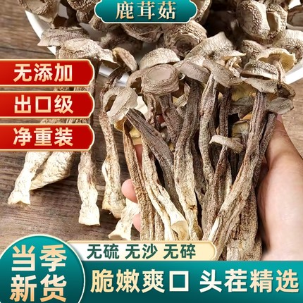 【无干燥剂】鹿茸菇干货嫩仔批发农家鹿茸菌蘑菇批发商用净重鲜嫩