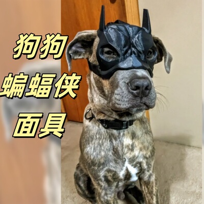 狗狗蝙蝠侠面具搞笑装饰宠物道具