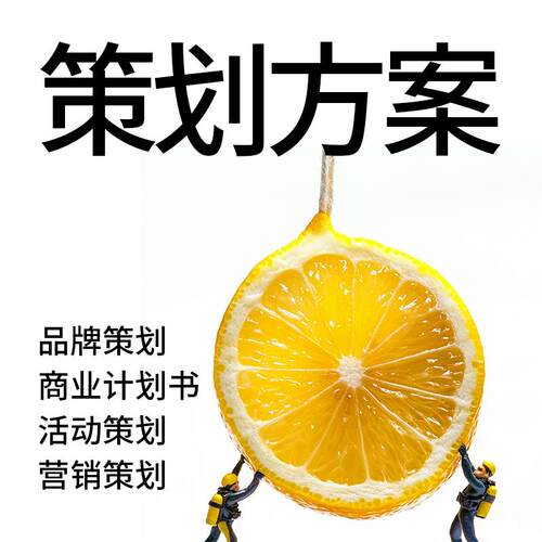 公司简介商业策划书市场营销策划方案创意营销策划全案设计创意