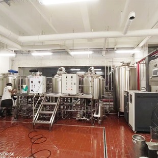 山東邁拓1000L精釀啤酒設(shè)備 酒吧釀酒機(jī)火爆熱賣 304不銹鋼