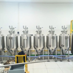 不锈钢发酵罐厂家爱热卖 高校酒厂实验室设备 精酿啤酒机 200L