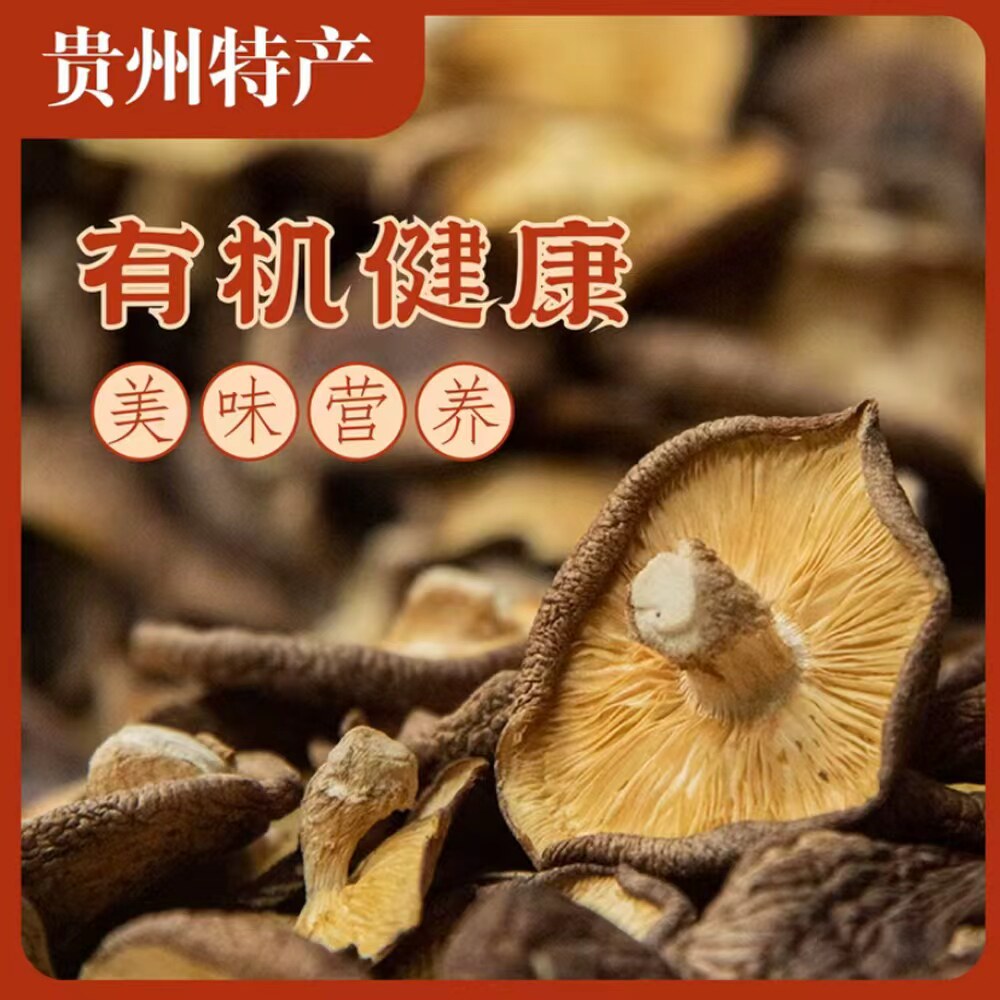 有机马桑菌食品种源野生袋装甄选马桑菌干煲汤补品特产家乡土货