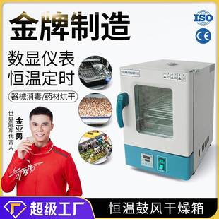 大祥中药材颗粒药丸药片烘箱小型电热鼓风恒温干燥箱食品果干烤箱