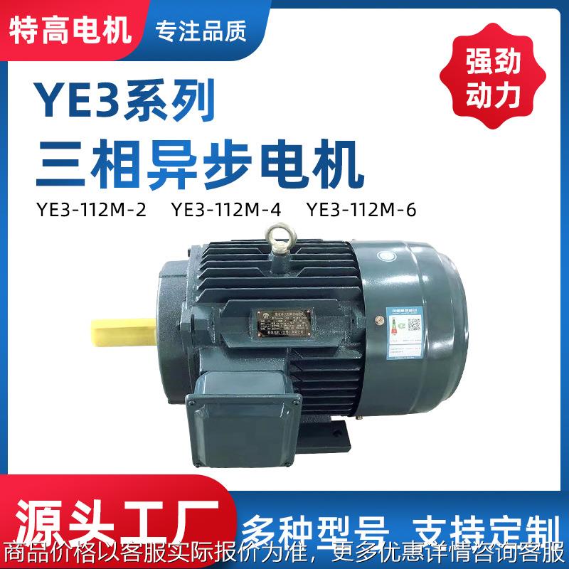 常州源头厂家耗电低运行稳定YE3系列三相异步电动机