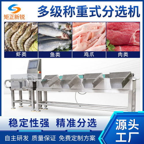 冷冻鱼虾肉生鲜流水线多级分选秤在线高速检重复检动态称重分选机
