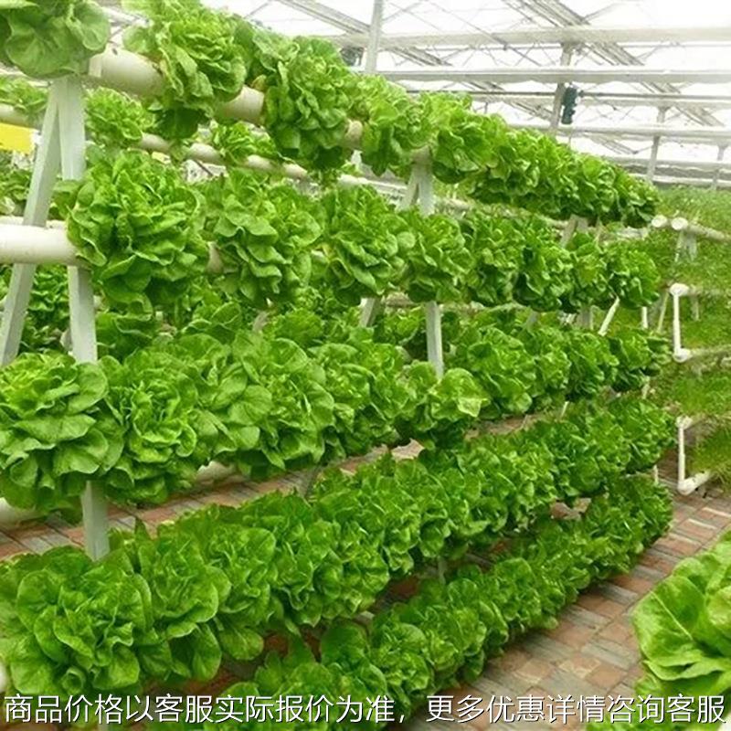 植物工厂无土栽培蔬菜设备技术厂家水培温室种植架室内外种菜机