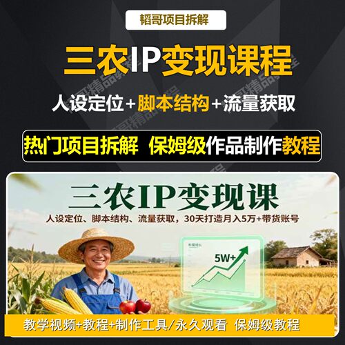 三农IP自学实战课程人设定位+ 脚本结构自媒体短视频创业技能教程