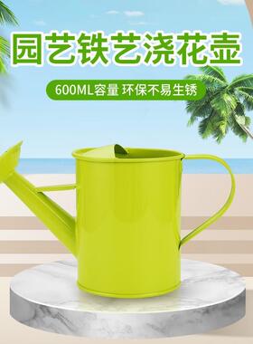 园艺铁皮600ML洒水壶儿童浇花壶铁艺清新绿色喷粉花园种植工具