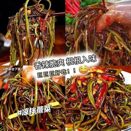 红油脆爽贡菜蕨菜即食大包下饭咸菜湖南特产香辣开胃