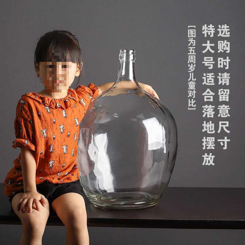 细口小口大肚玻璃花瓶 吊钟马醉木插花水培落地大号花器 简略透明