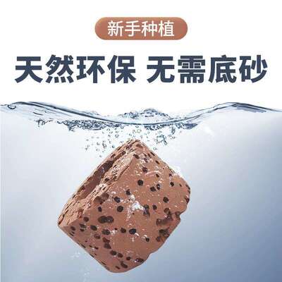 水草滤定培环固环沉KHO底环水草环过滤环定置环鱼缸菌沉底过环新