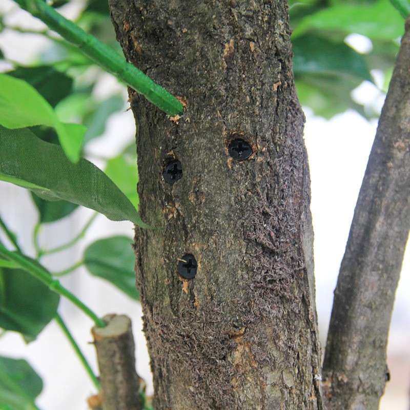 饰工厂销仿DOI真榕树假室内外中大型直装假树树酒店商场大厅展览,机械设备,其他机械设备,淘宝优惠券,粉丝福利购,淘宝优惠卷