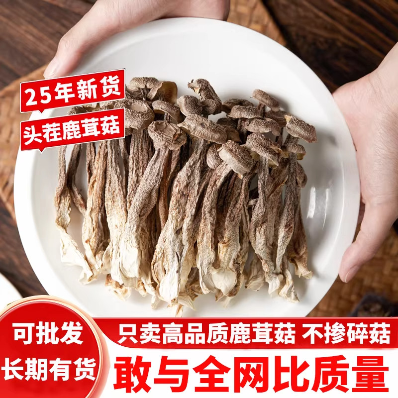 精品鹿茸菇干货500g鹿茸菌煲汤食材脆脆菇蘑菇非特级批发无干燥剂