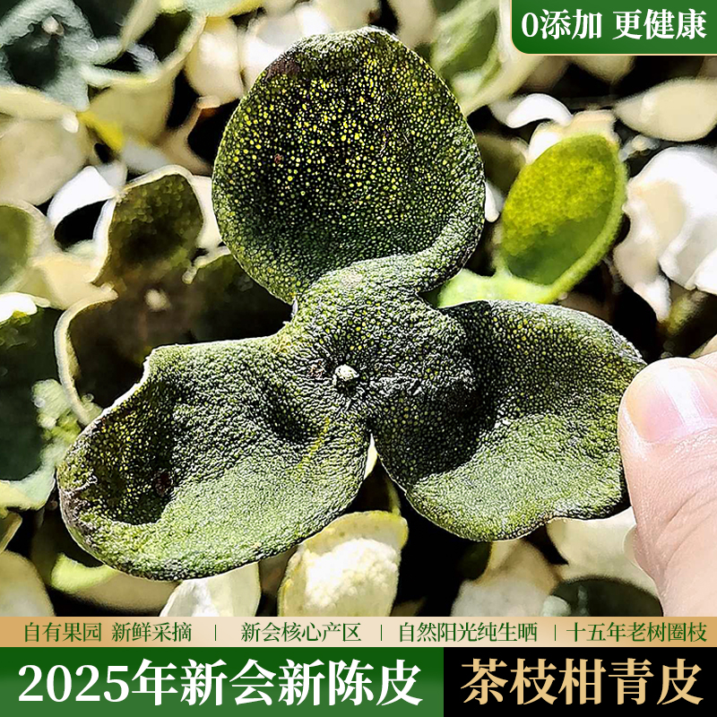 新会新陈皮2025年青皮茶坑圈枝茶枝柑大红皮陈皮干新货鲜皮旗舰店