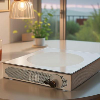 Dual围炉煮茶电陶炉家用电茶炉电炉子室内高端小型复古户外煮茶器